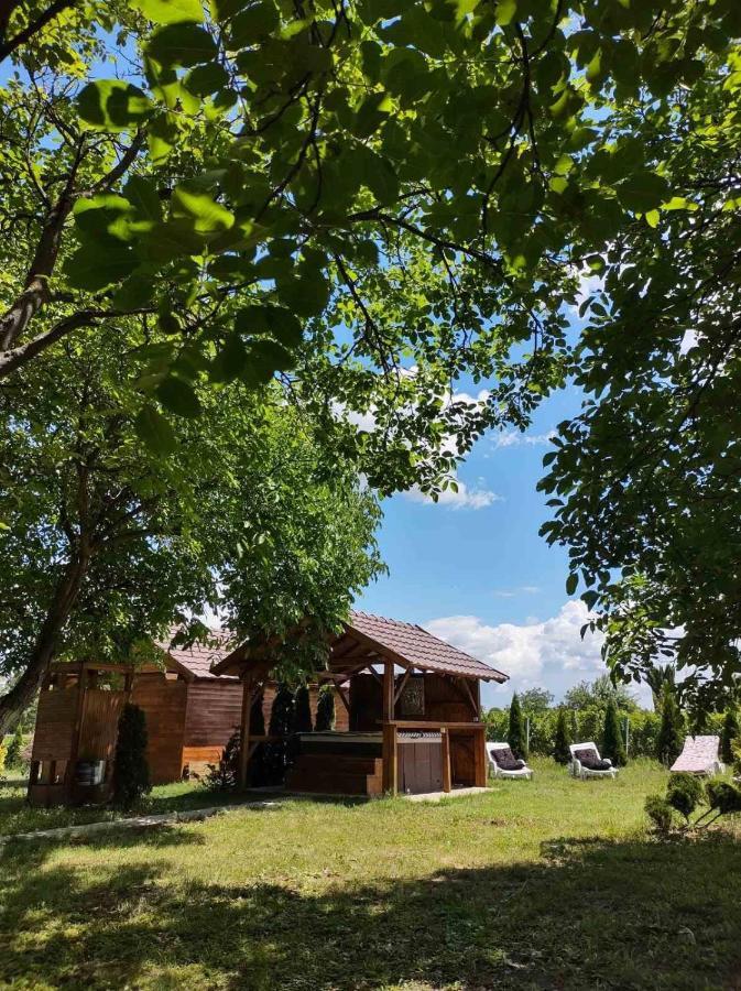 Brvnara Aurora Vista Villa Velika Remeta Buitenkant foto
