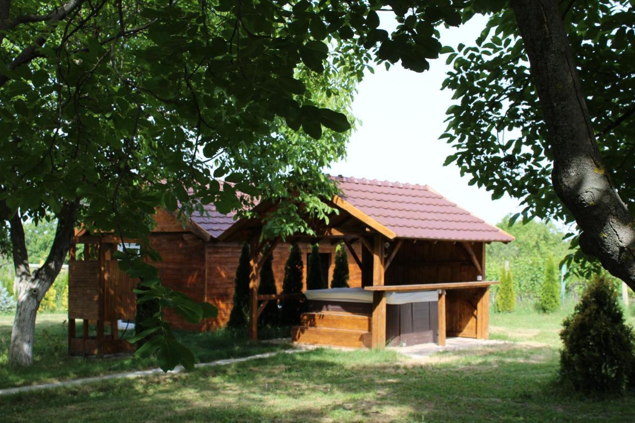 Brvnara Aurora Vista Villa Velika Remeta Buitenkant foto